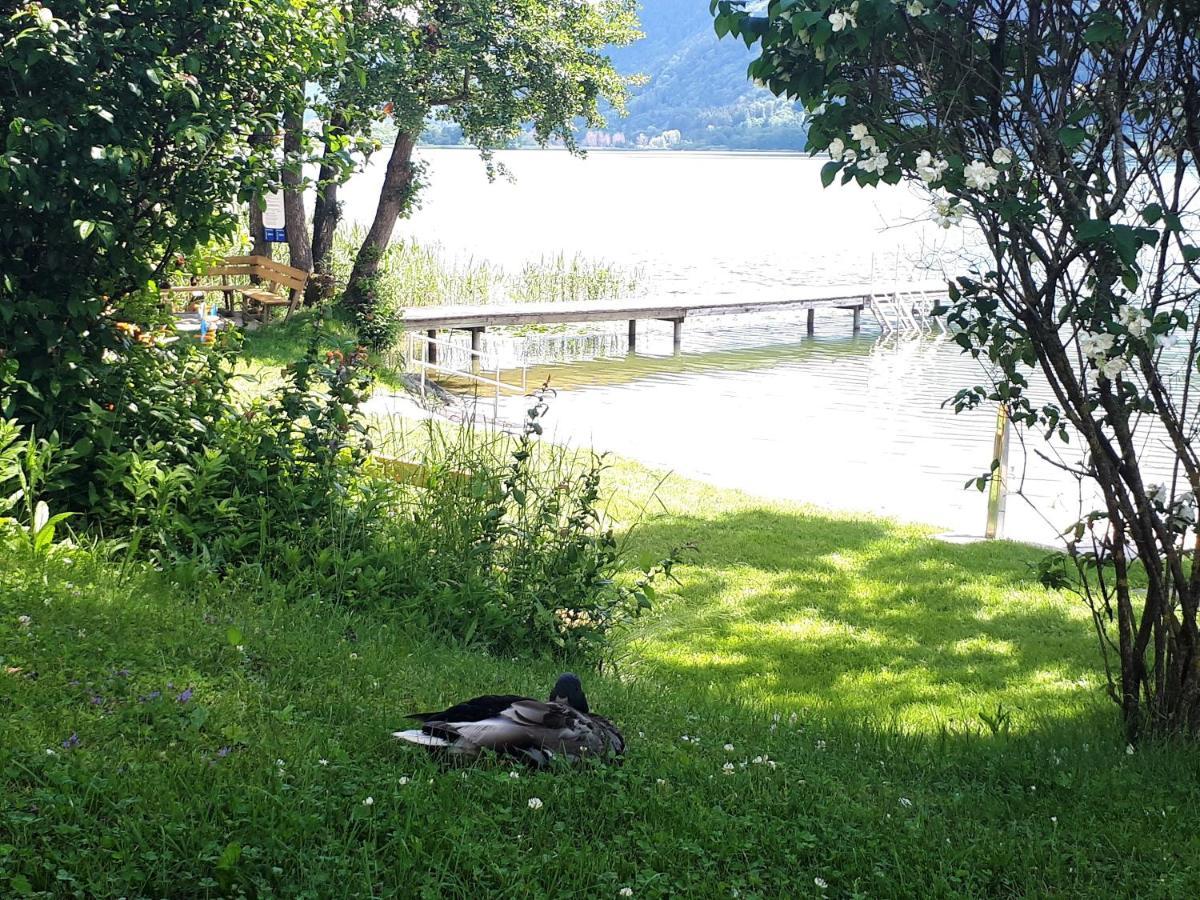 Maren Seeblick Appartement Haus Haensel&Gretel Direkt Am Ossiacher See Mit Hallenbad Stiegl Exterior photo
